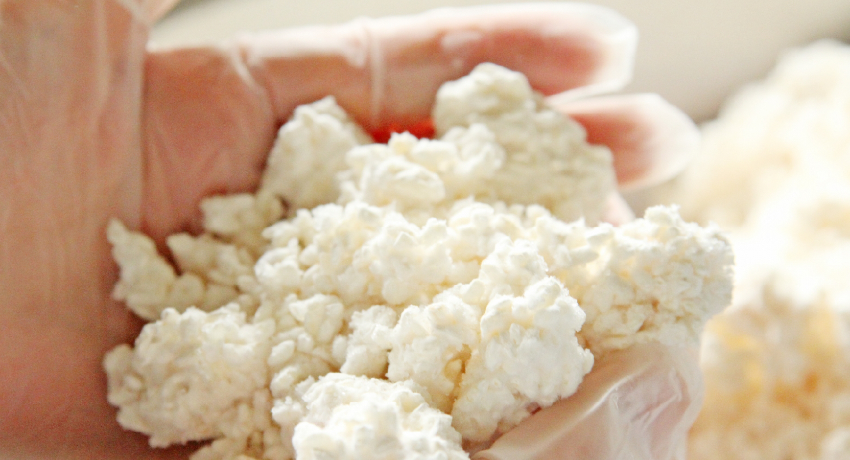 Koji/yeast IKKI Japanese Sake Media