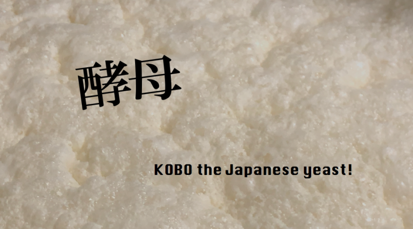 KOBO the Japanese yeast! Japanese Sake and brewing process