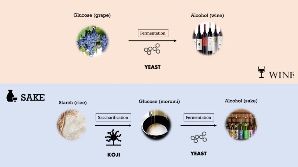 Sake Wine Brewing process