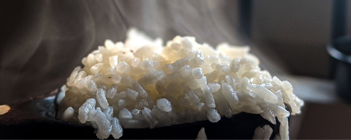 Rice suitable for the production of Sake - IKKI - Japanese Sake Media