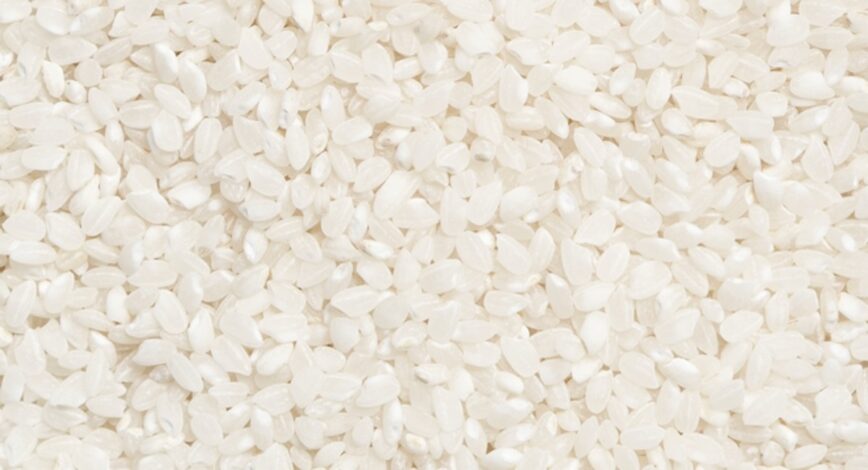 Rice suitable for the production of Sake