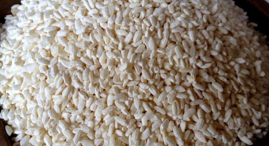 Koji: its variation and their differences in flavours